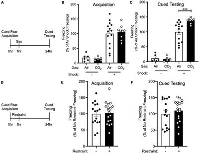 Post-acquisition CO2 Inhalation Enhances Fear Memory and Depends on ASIC1A